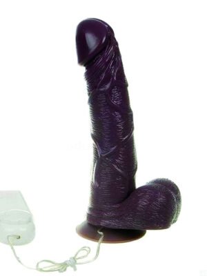 Mr. Realistic Black Dildo Vibrator